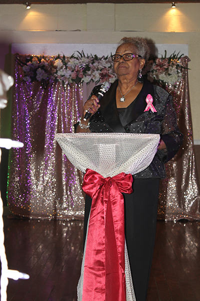 2017 Fundraiser Luncheon