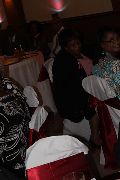 2017 Fundraiser Luncheon