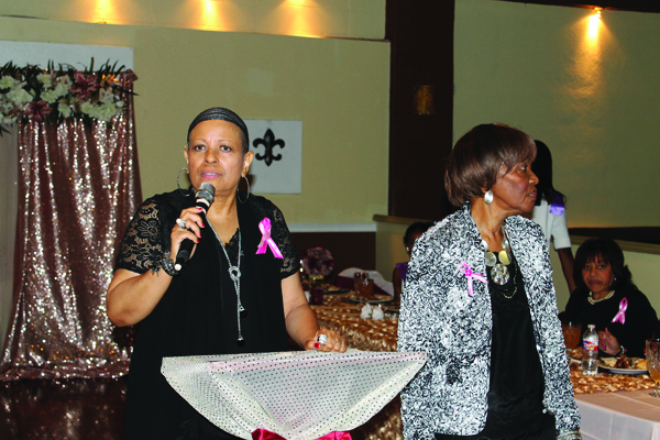 2017 Fundraiser Luncheon